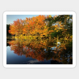 New England Autumn Sticker